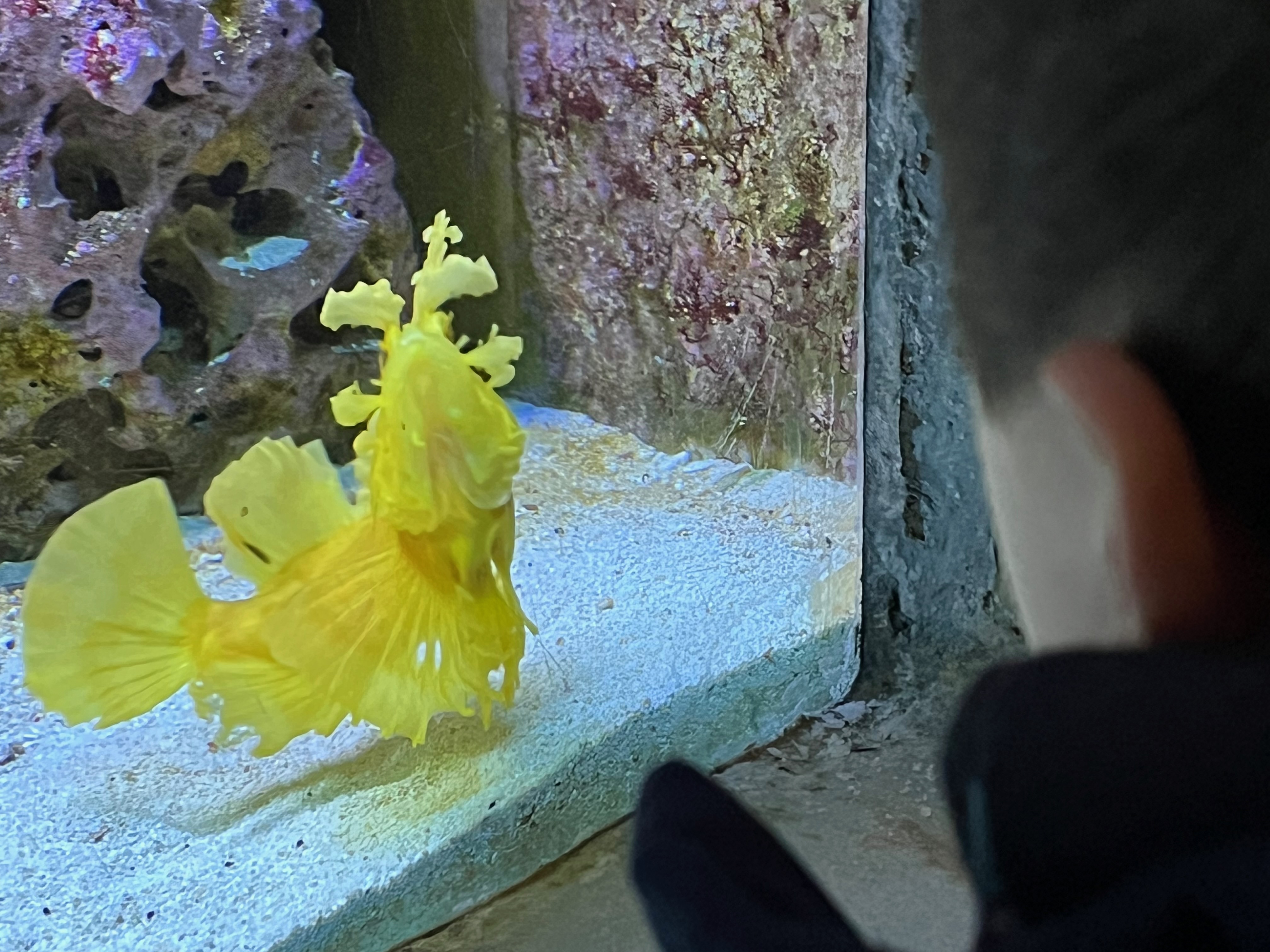 Im Münsteraner Allwetterzoo