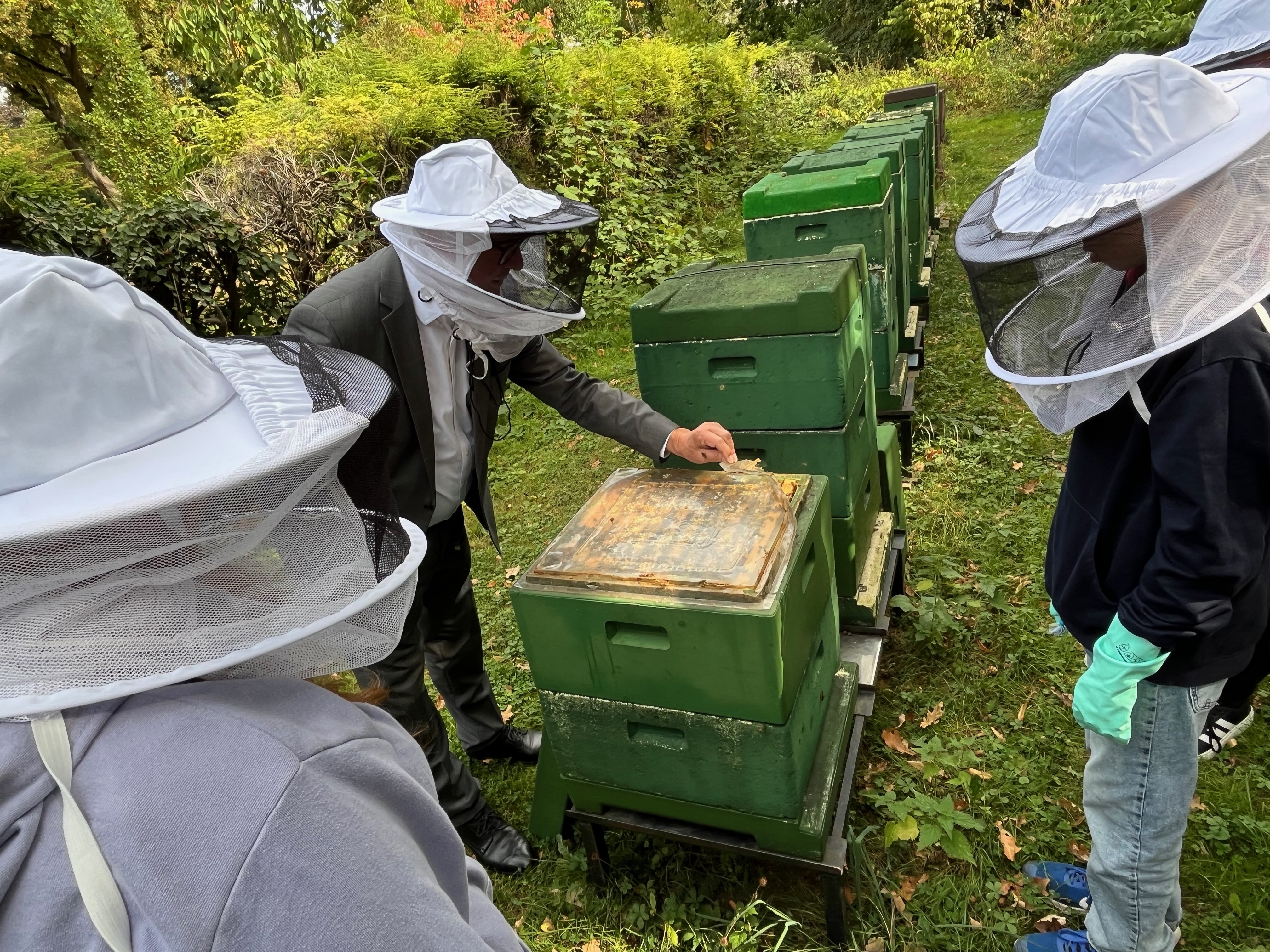 Die Bienenkästn stehen auf dem Paderborner Ostfriedhof.