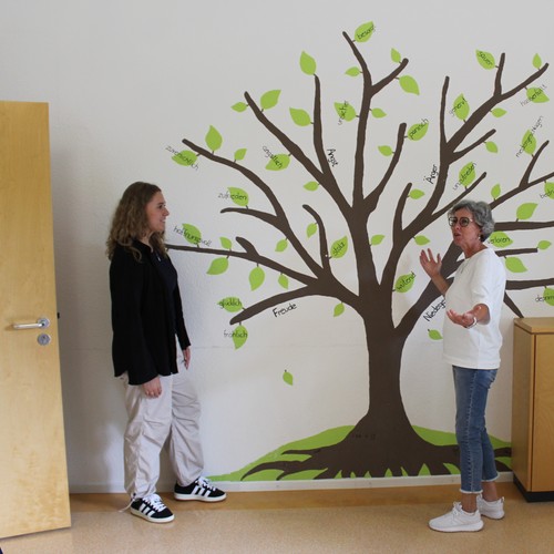 LWL-Ambulanzen in Marsberg, Paderborn, Höxter & Meschede