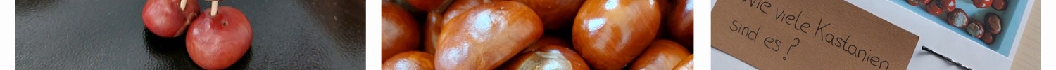 Mit Kastanien lässt es sich gut basteln. Mit Kastanien lässt es sich gut basteln.