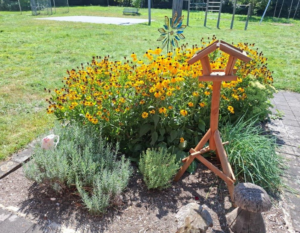 Pflanzen aus dem Garten