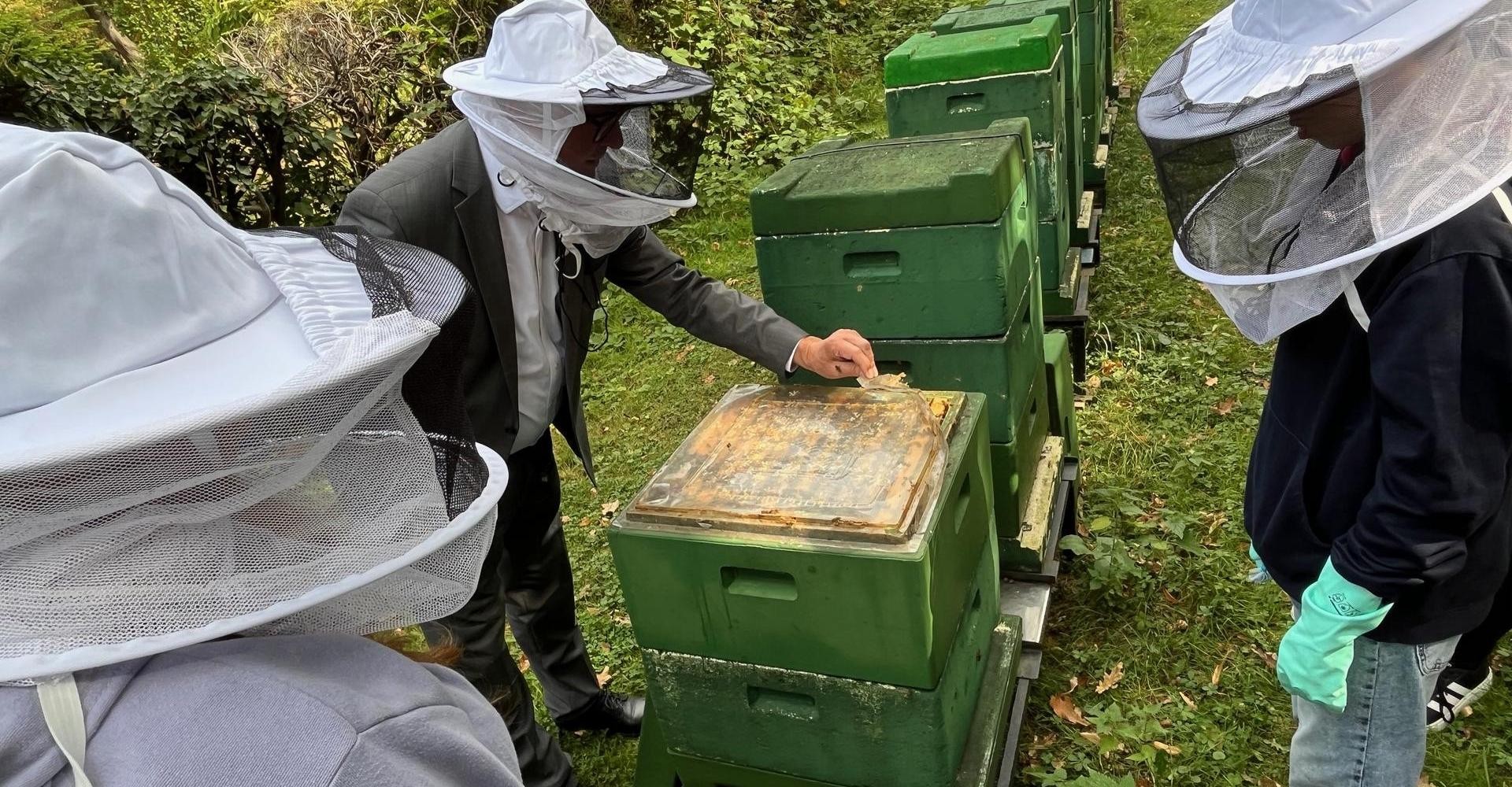 Die Bienenkästn stehen auf dem Paderborner Ostfriedhof.