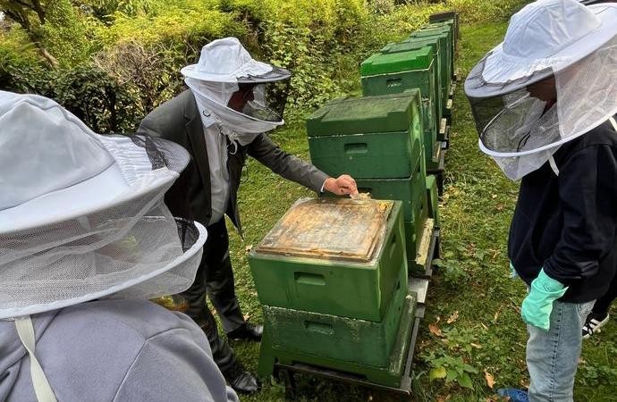 Imkern auf dem Paderborner Ostfriedhof