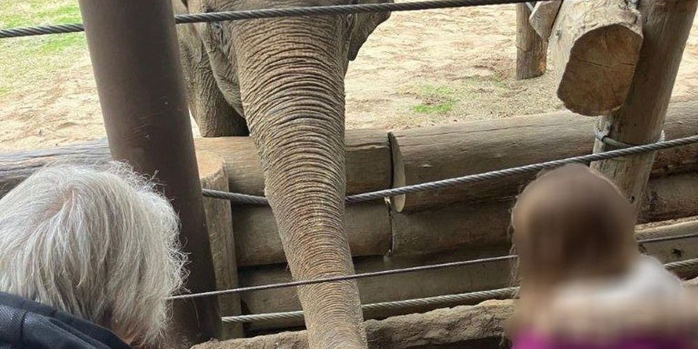 Allwetter Zoo Münster
