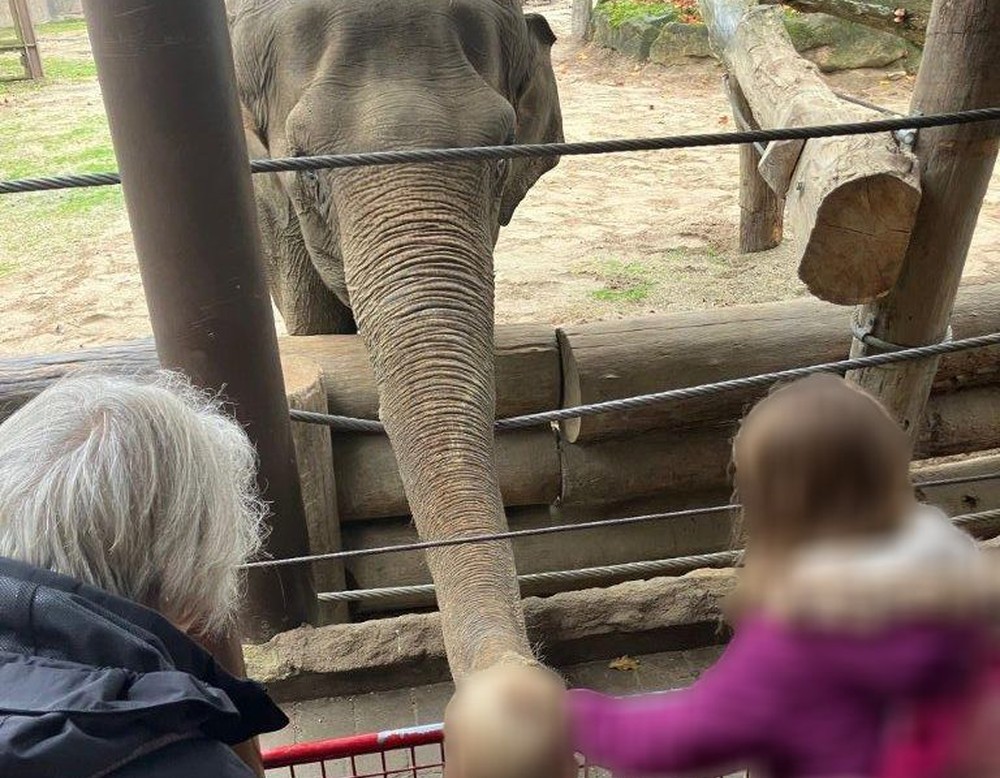 Allwetter Zoo Münster